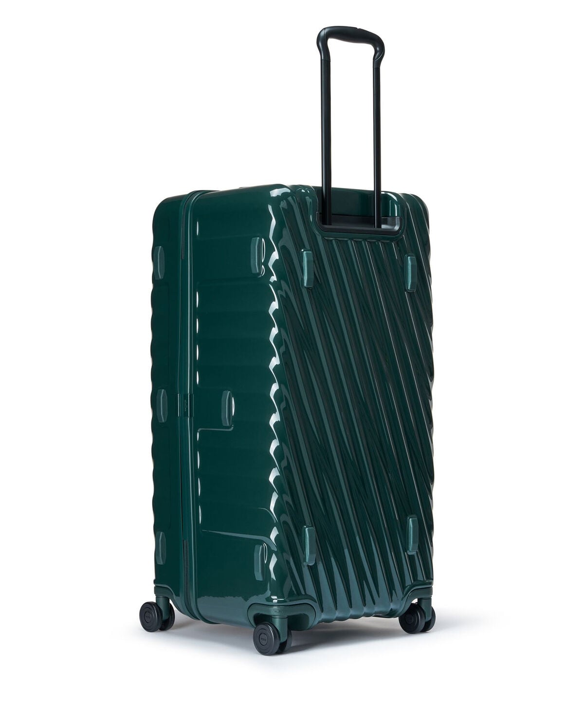 19 Degree Large Trunk