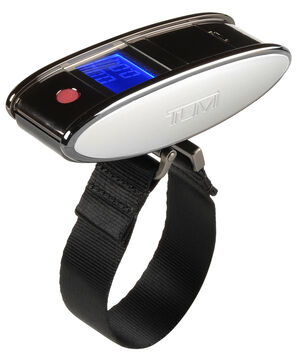 Electronics Scale