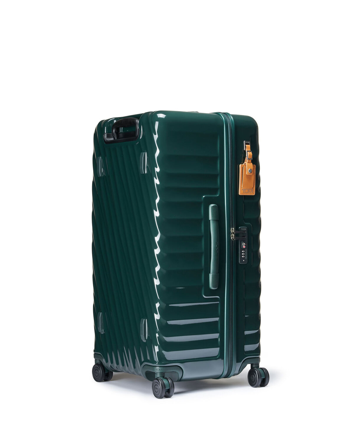 19 Degree Large Trunk